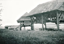 eika image